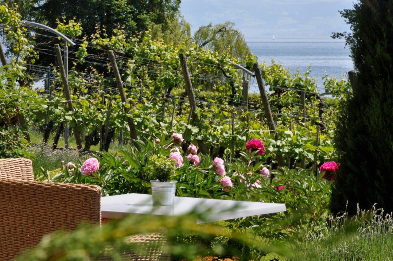 Appartementhotel Roehrenbach Immenstaad am Bodensee Exterior foto
