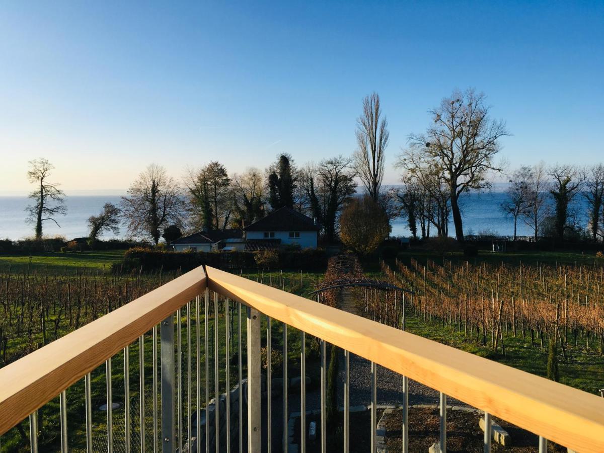 Appartementhotel Roehrenbach Immenstaad am Bodensee Exterior foto